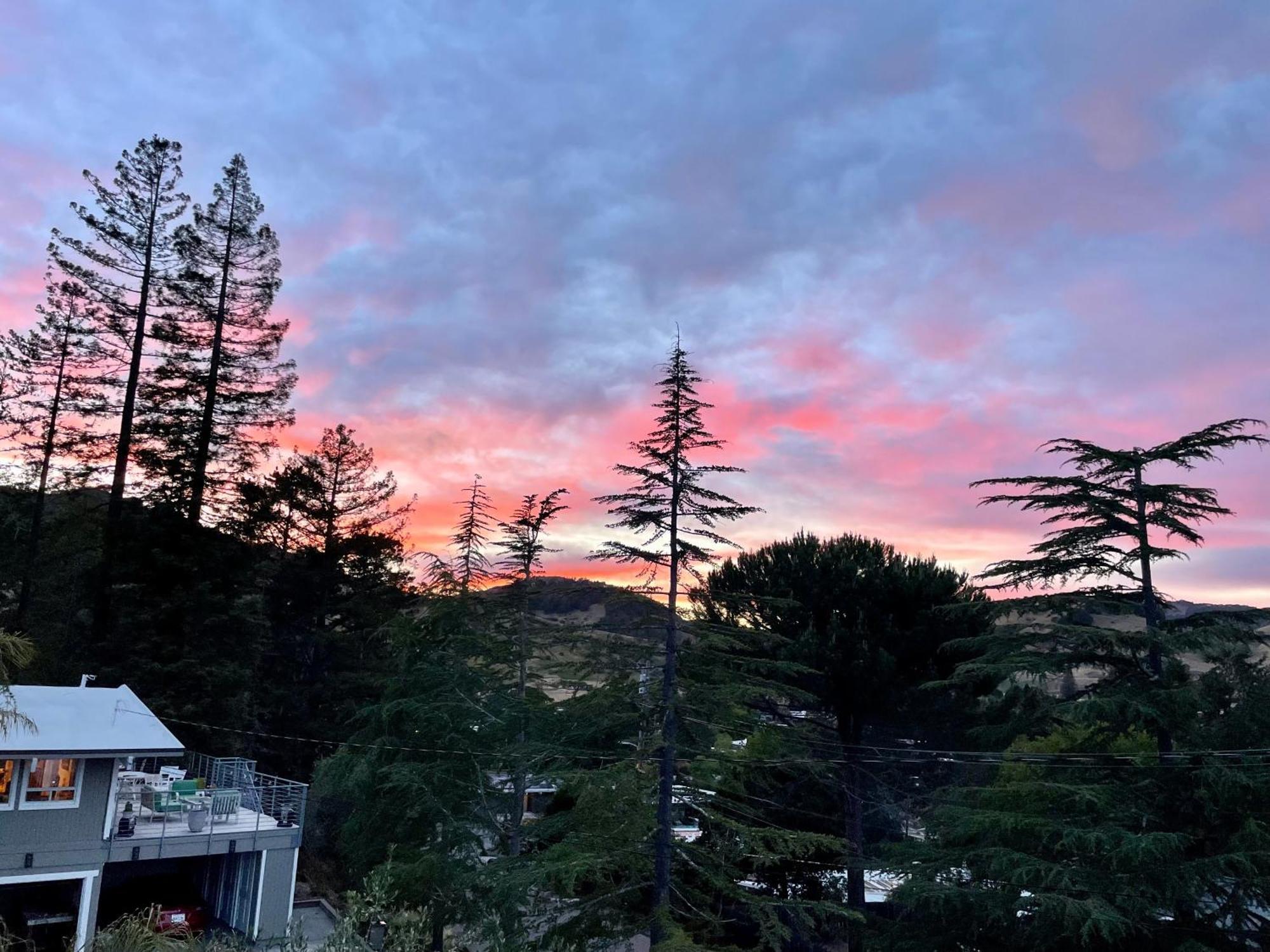 Luxury Suite With Views - San Rafael, Gateway To Sf & Wine Country Buitenkant foto