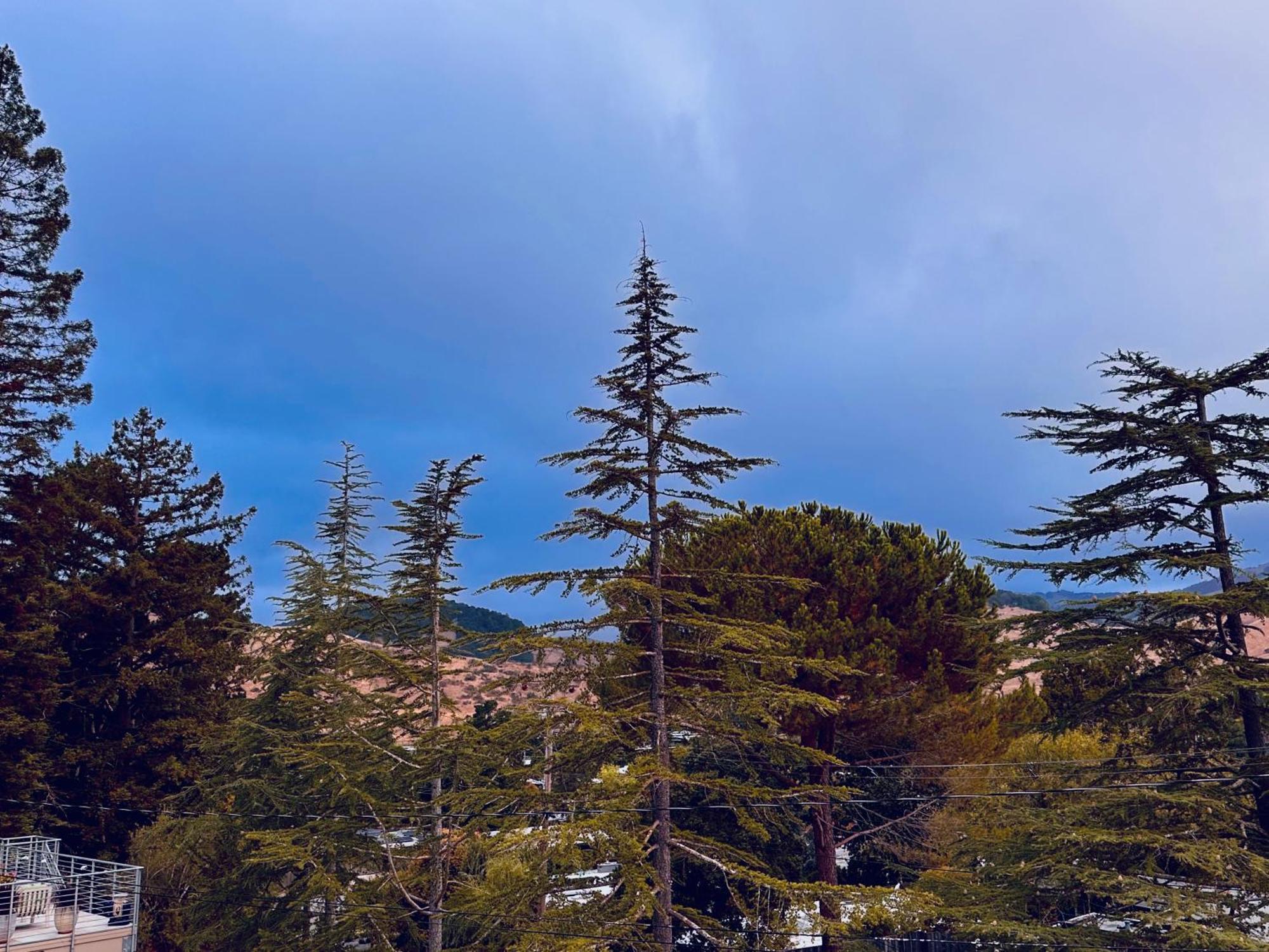 Luxury Suite With Views - San Rafael, Gateway To Sf & Wine Country Buitenkant foto