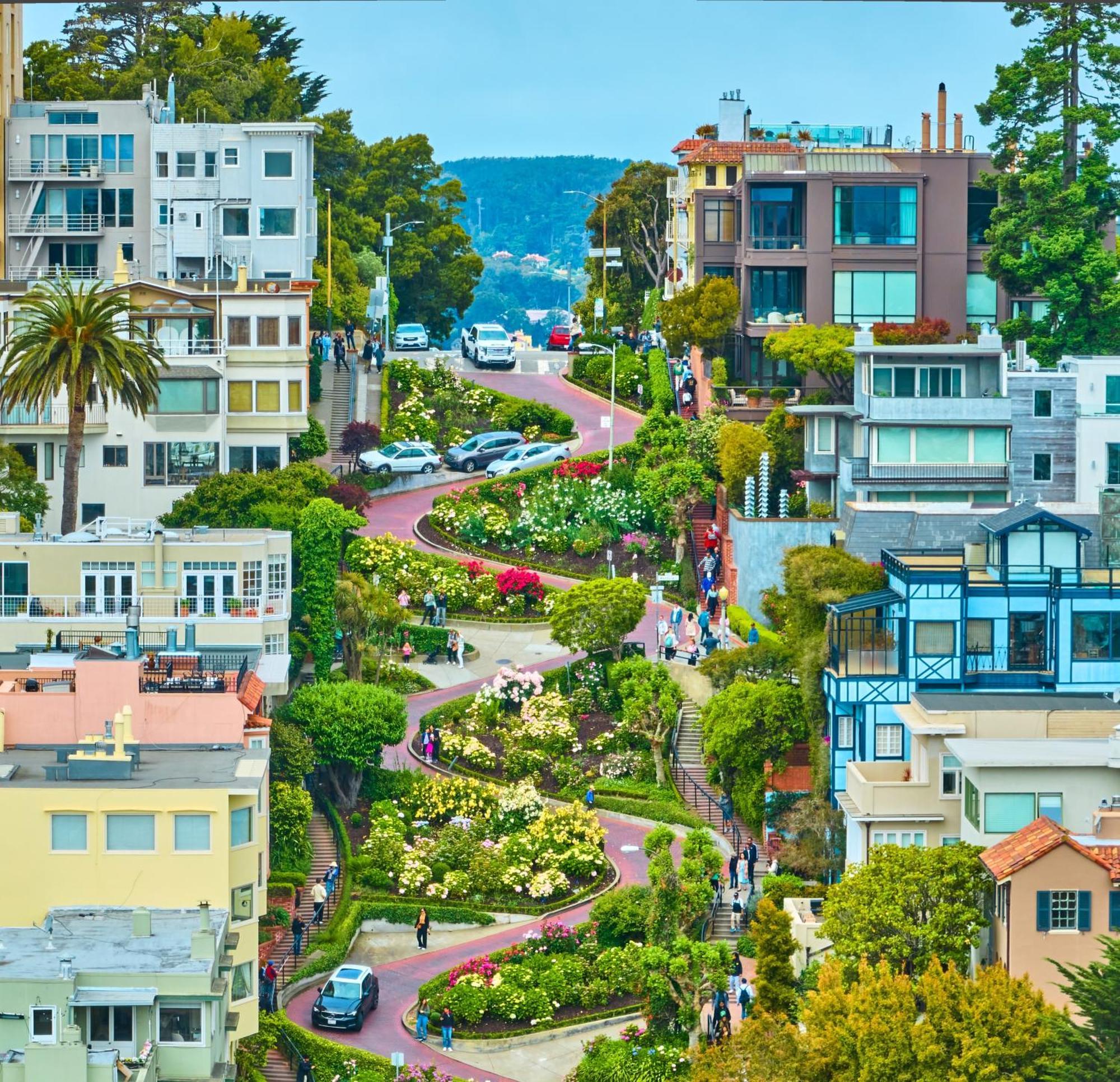 Luxury Suite With Views - San Rafael, Gateway To Sf & Wine Country Buitenkant foto